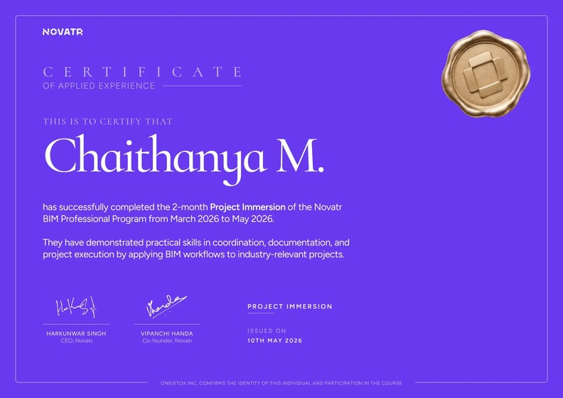 Project Immersion Certificate